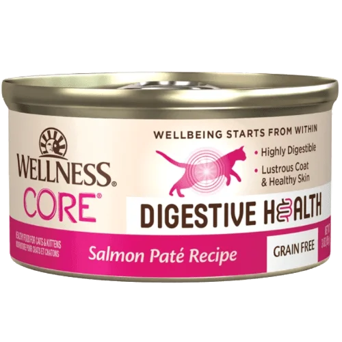 CORE® Digestive Health Salmon Pate Wet Cat Food 3.0 oz cans - Wellness